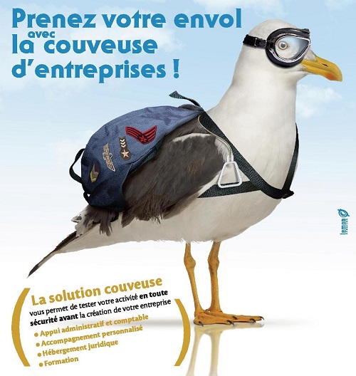 Prenez votre envol avec la couveuse d'entreprise